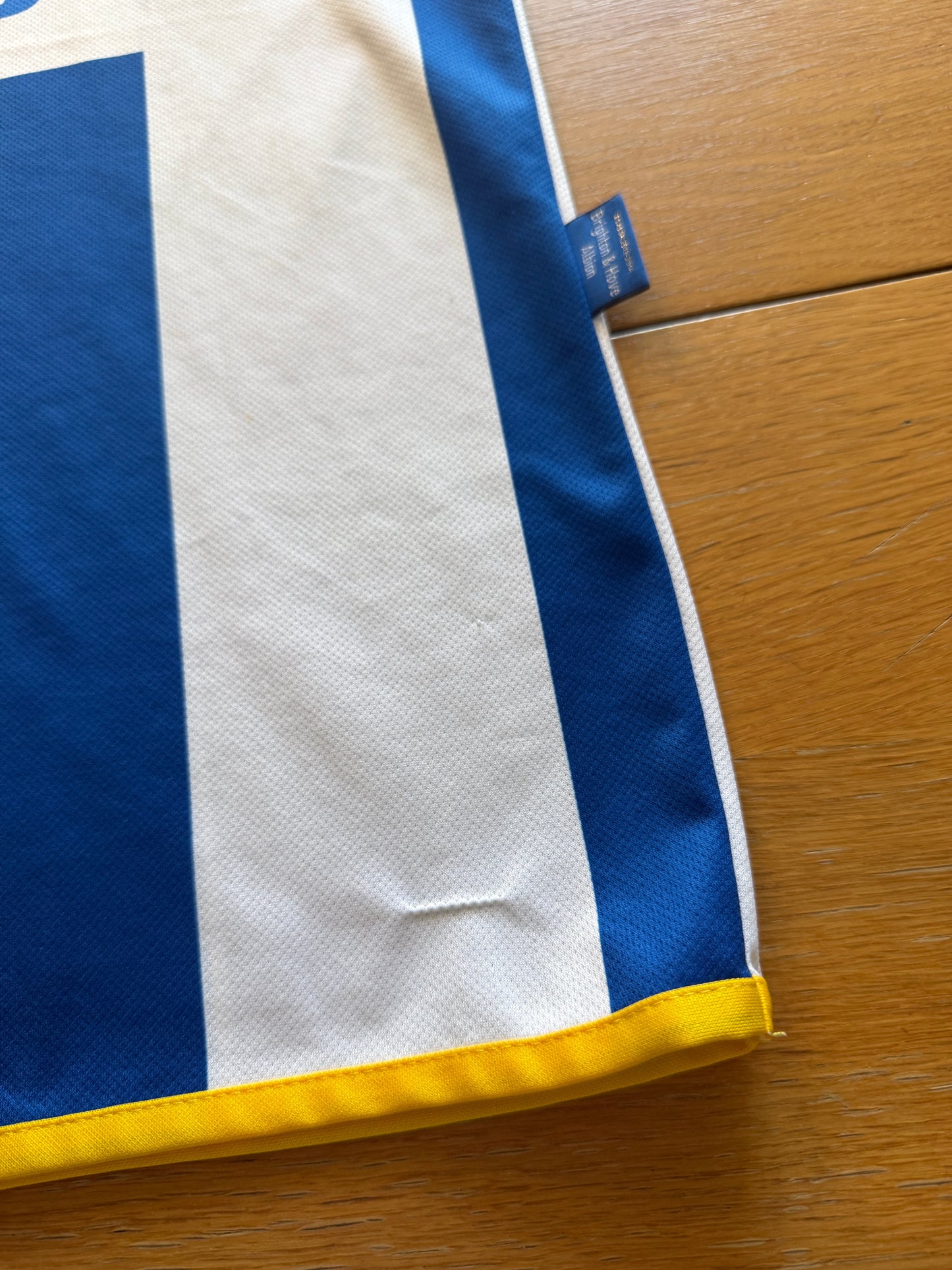 Brighton and Hove Albion 2013/14 Home (S)