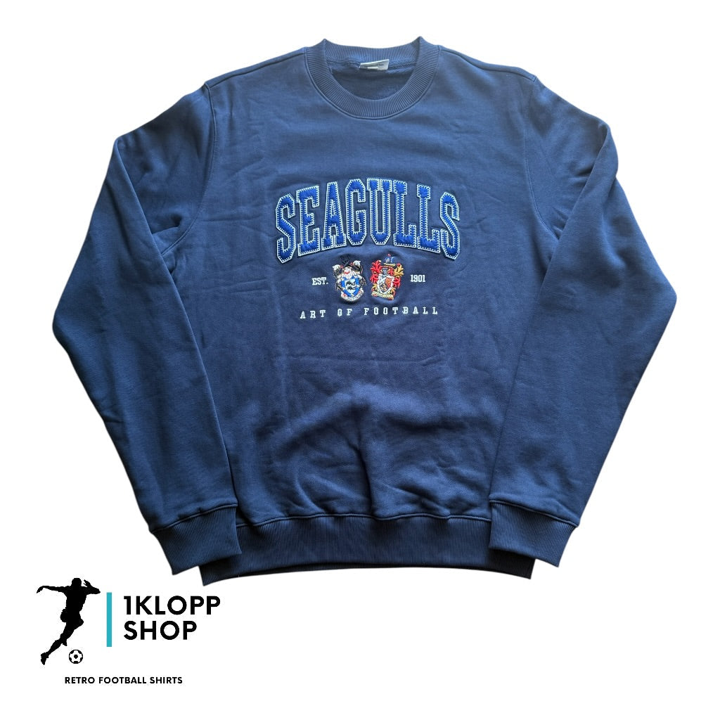 Brighton and Hove Albion Art of Football Sweatshirt (M)