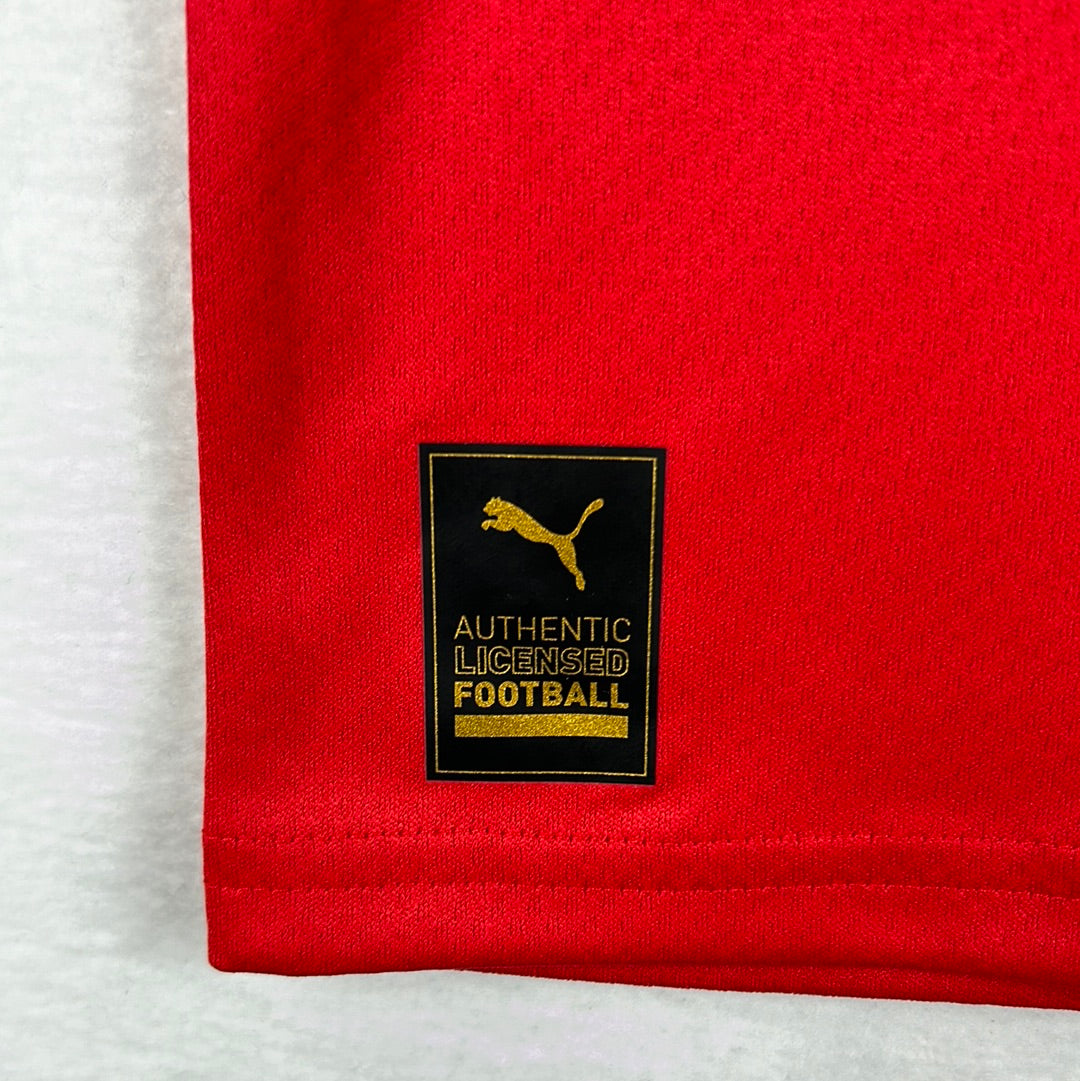 Egypt 2022 Home Shirt - Medium - New With Tags