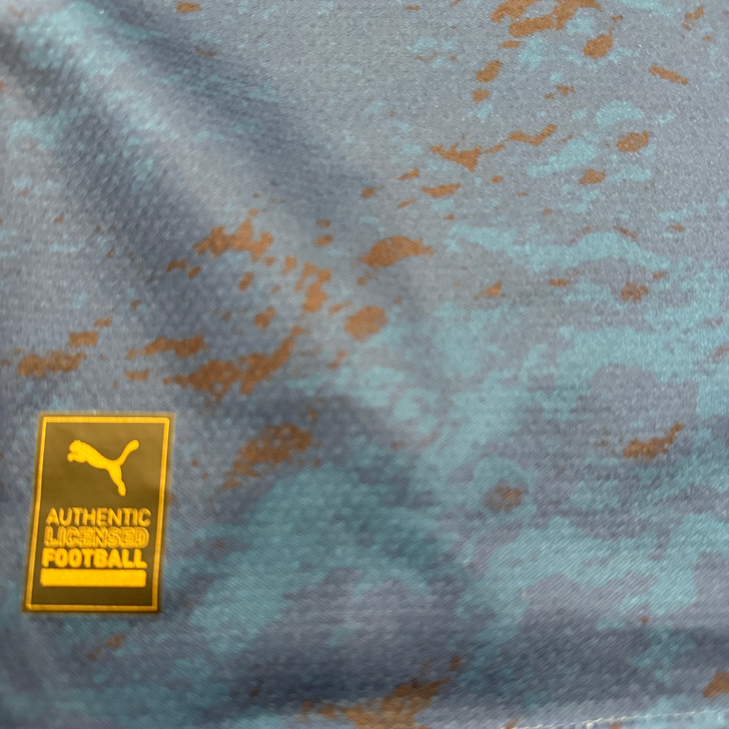 Manchester City 2022/2023 Chinese New Year Shirt
