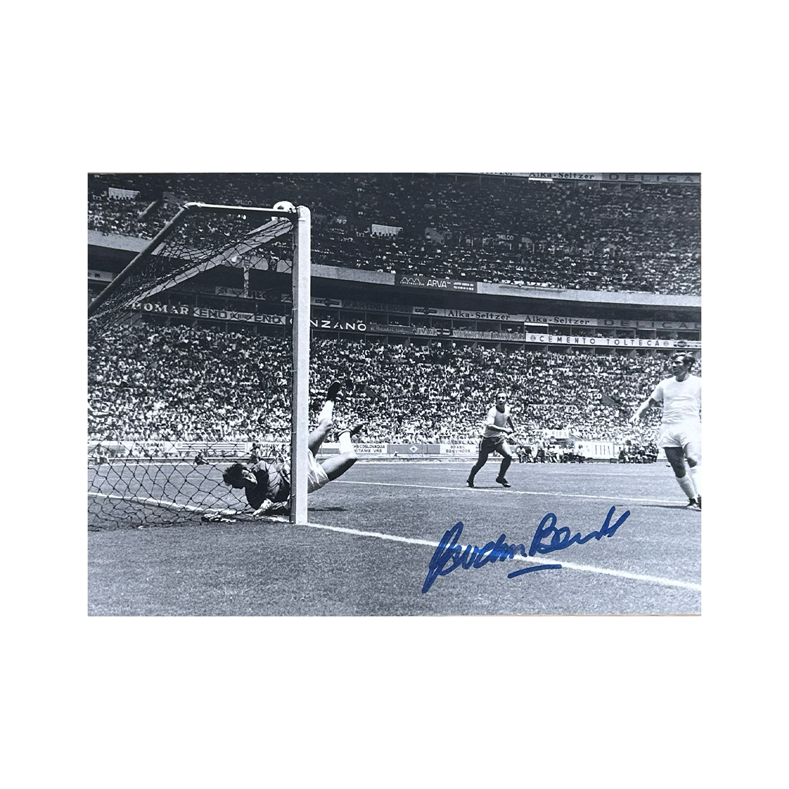Gordon Banks Signed England 9x6