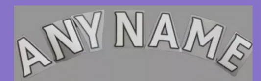 2013-2017 Any Letter Premier League plastic nameset EPL printing white for football shirt