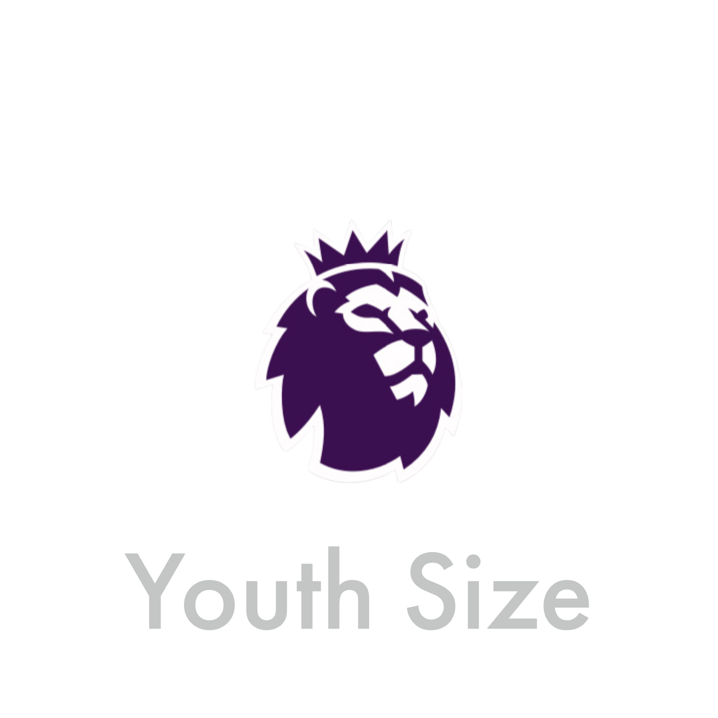 2023-26 Premier League Youth Size Sleeve Badge