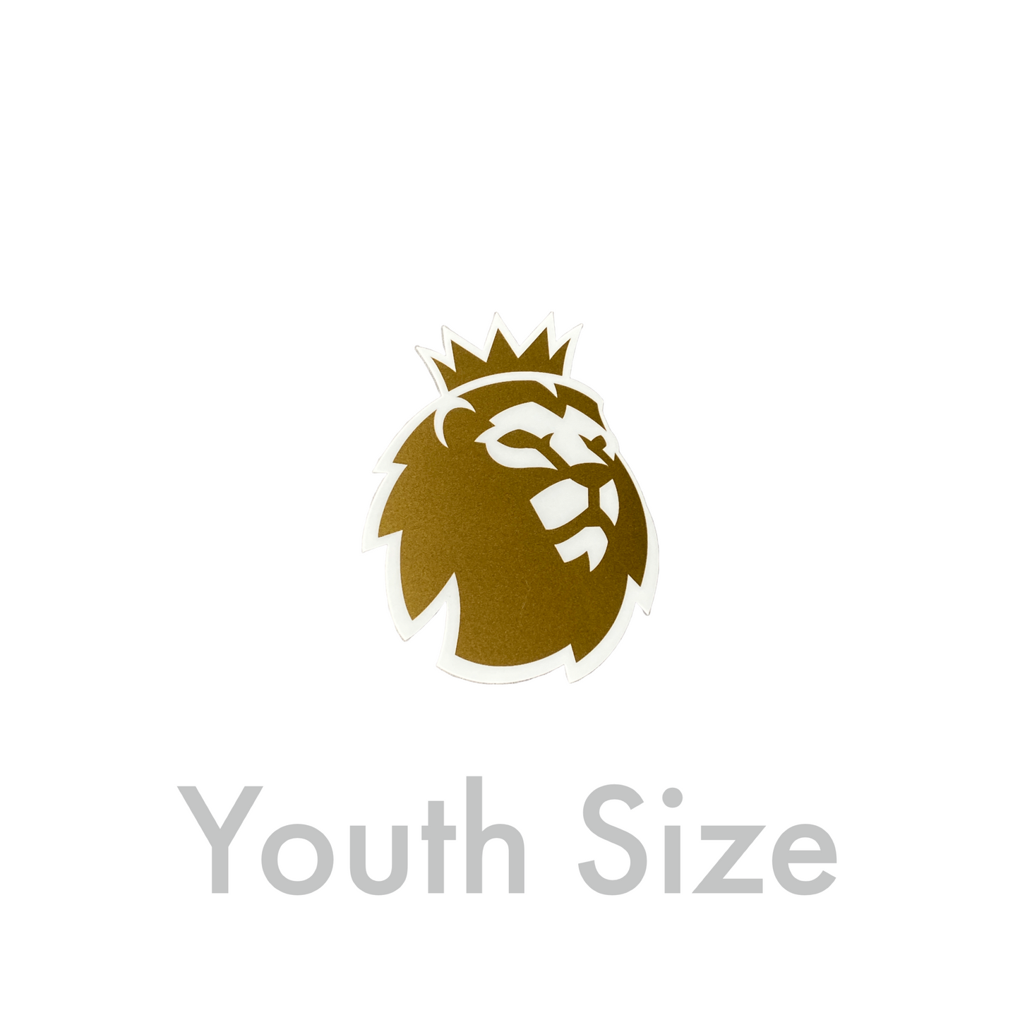 2023-26 Premier League Champions Youth Size Sleeve Badge