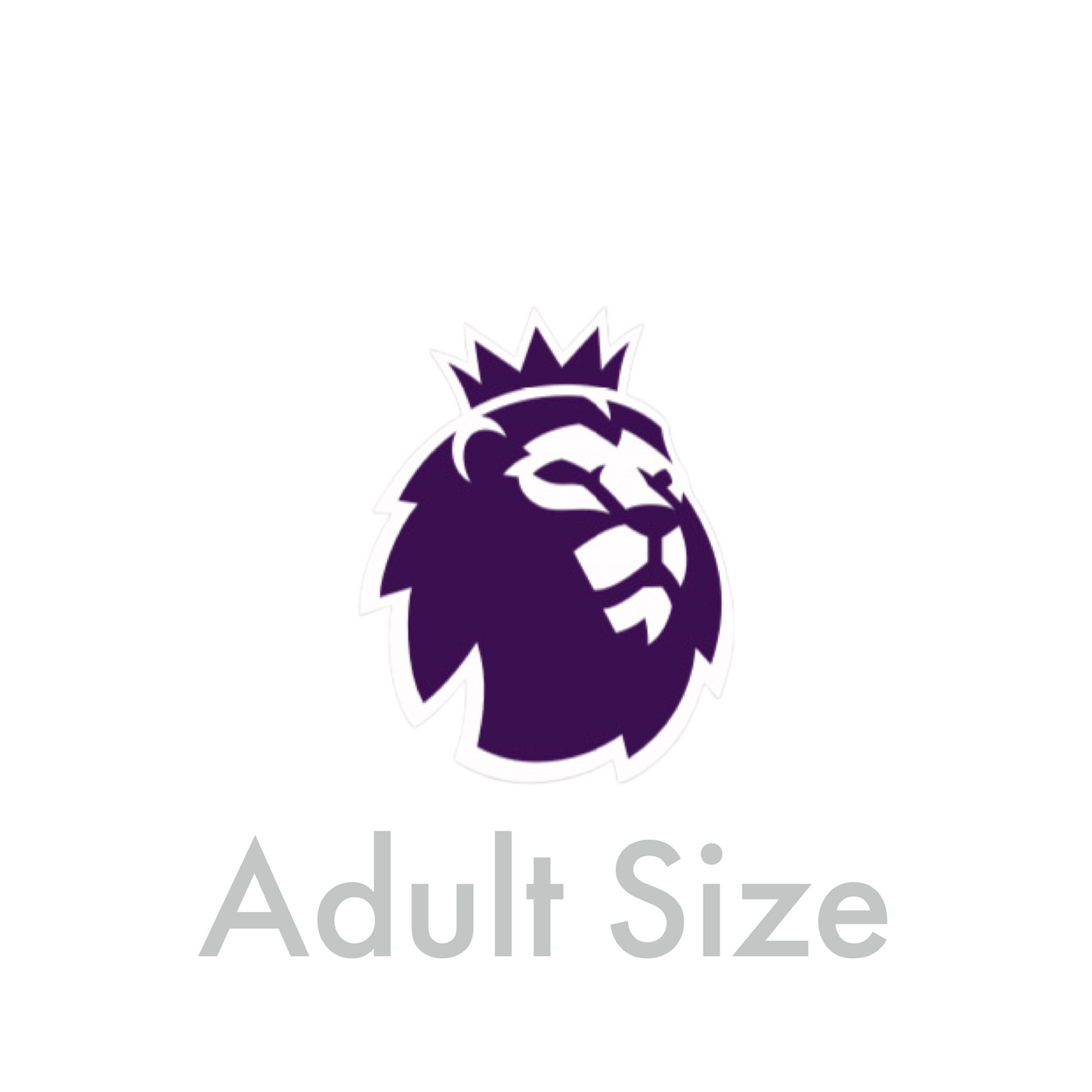 2023-26 Premier League Adult Size Sleeve Badge
