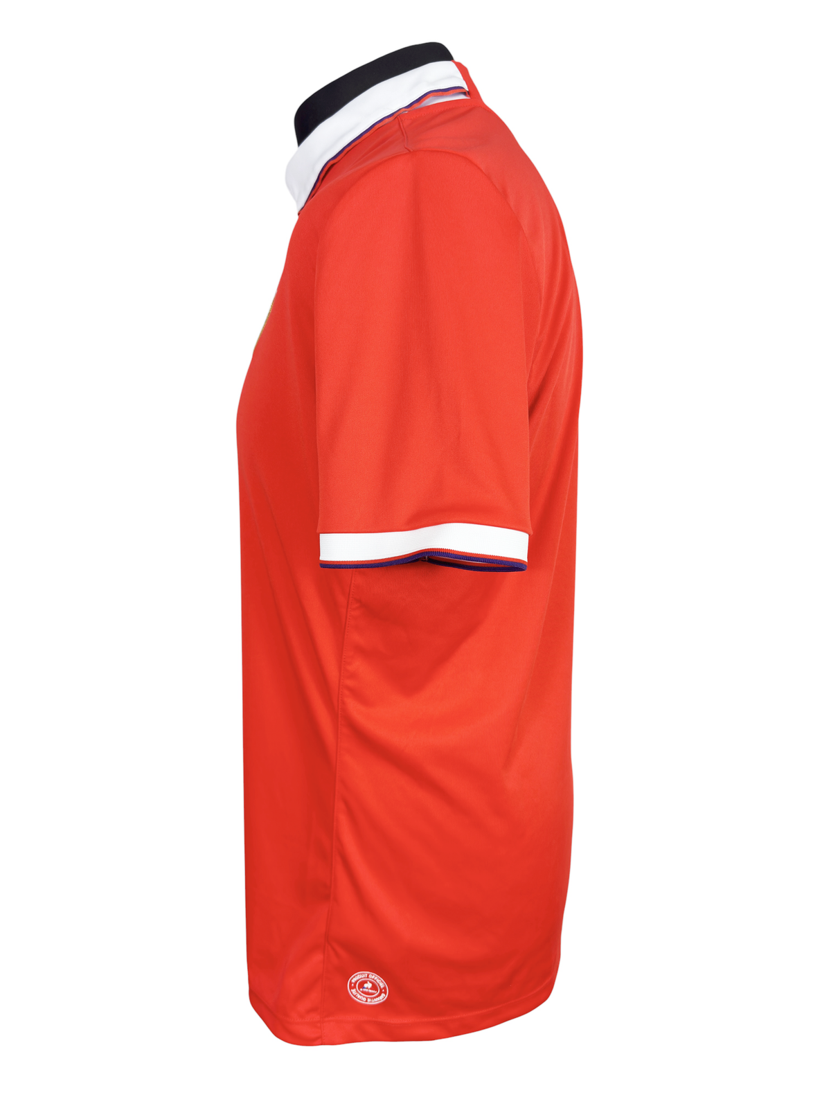 2016-17 Fiorentina Third - Size L (M Fit)