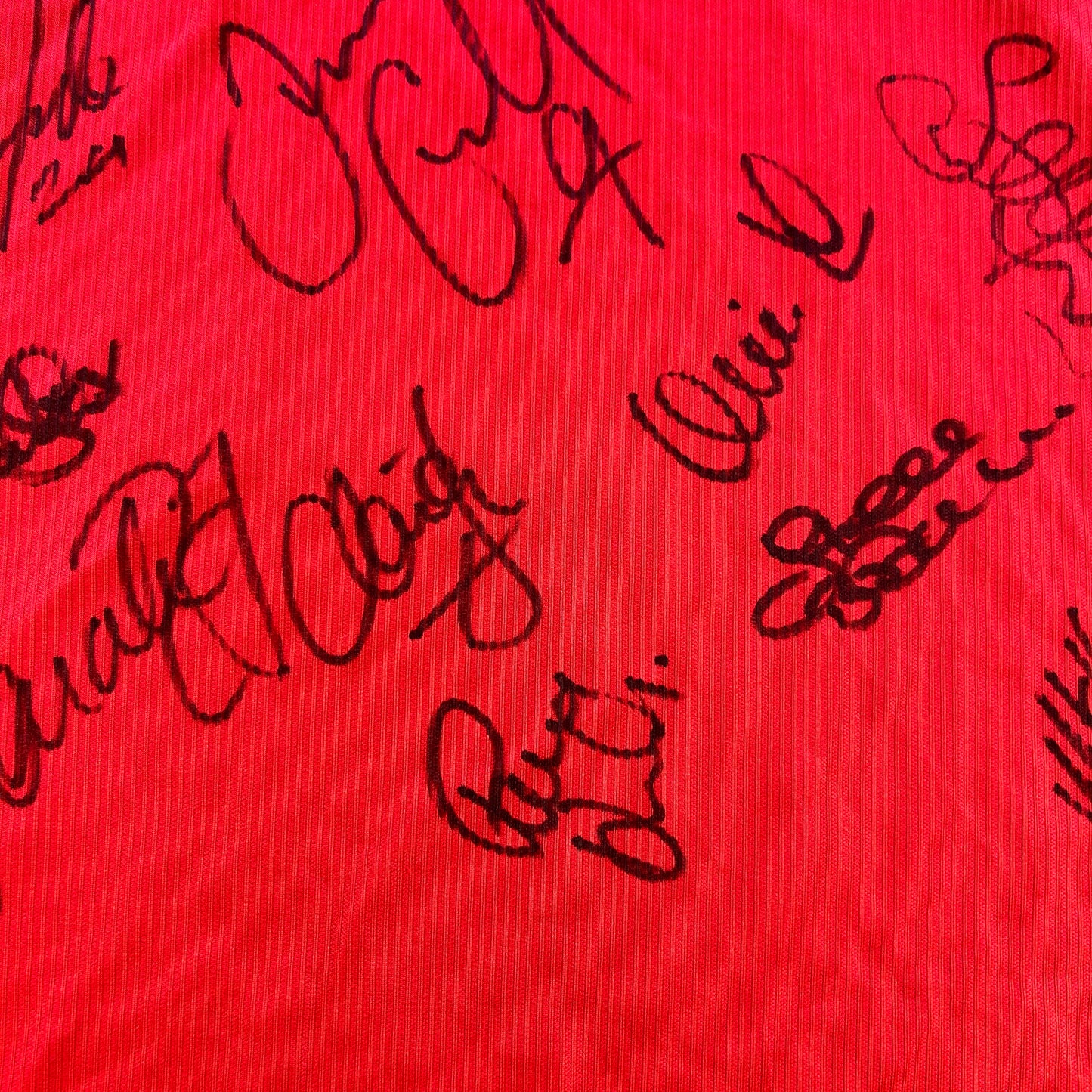 Charlton Athletic 2000/2001 Home Shirt - Squad Signed