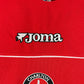 Charlton Athletic 2004/2005 Player Issue Home Shirt - Rommedahl 19