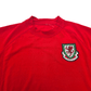 2004/06 Wales Home Football Shirt (L) Kappa