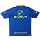 2009/10 Chievo Verona Training Shirt (M) Givova
