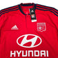 2015/16 Olympique Lyonnais Away Football Shirt (L) Adidas #10 Lacazette (BNWTs)