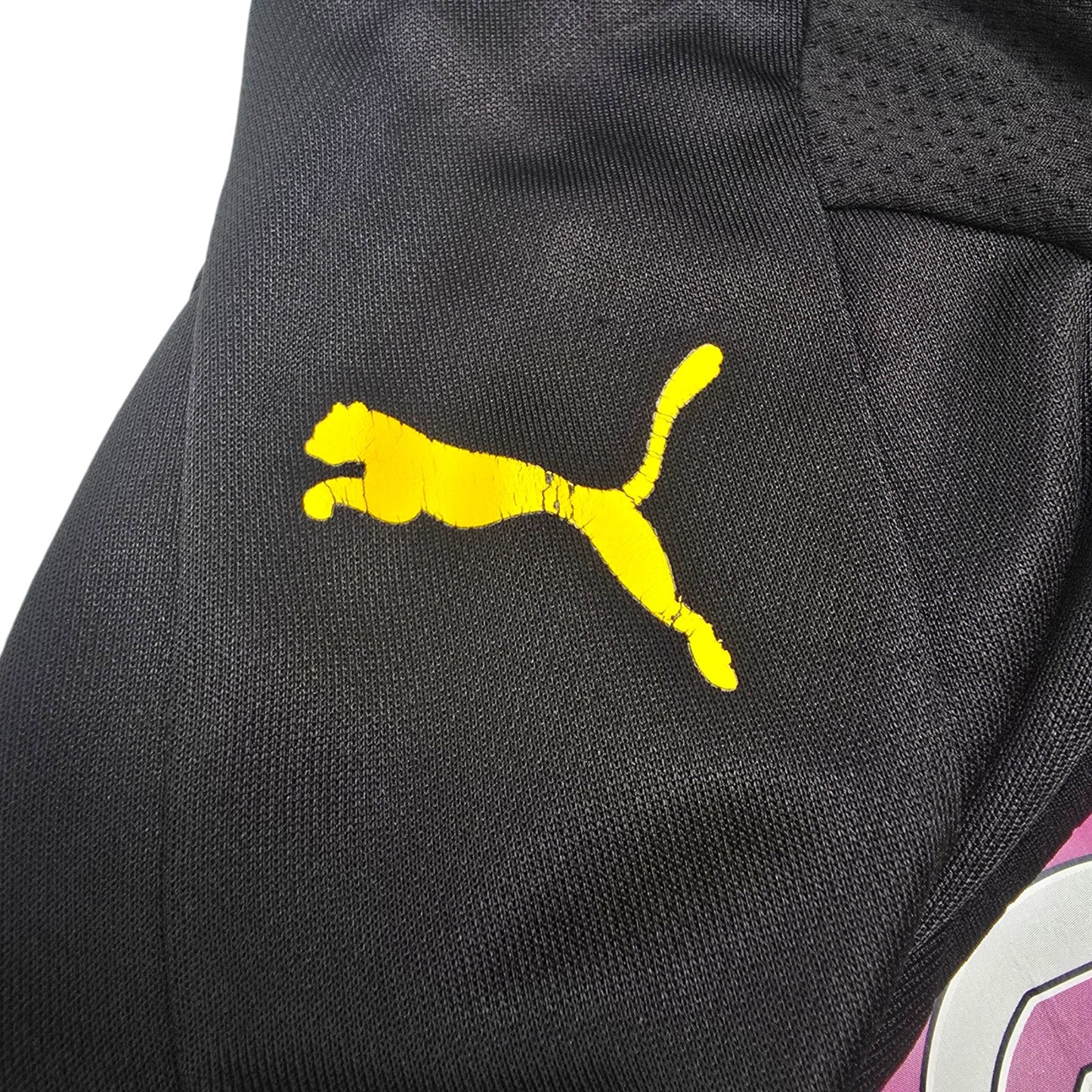 2016/17 Dortmund Goal Keeper Football Shirt (L) Puma