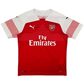 2018/19 Arsenal Home Football Shirt (L) Puma #9 Lacazette