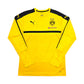2018/19 Dortmund Training Shirt (L) Puma