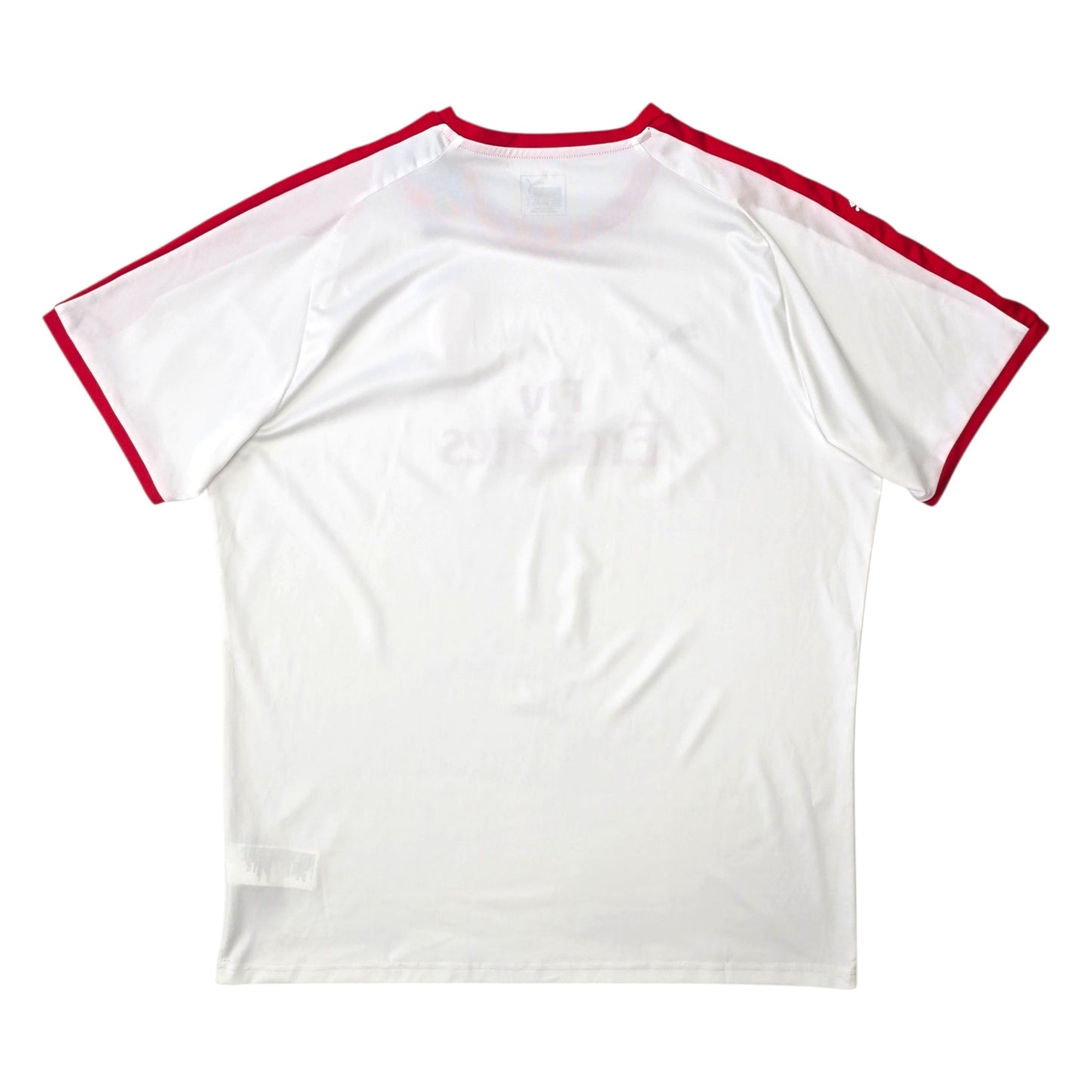 2019/20 AC Milan Training Shirt (XL) Puma