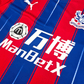 2019/20 Crystal Palace Home Football Shirt (L) Puma #11 Zaha