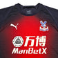2019/20 Crystal Palace Training Shirt (XL) Puma
