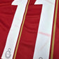 2019/20 Galatasaray Home Football Shirt (S) Nike #11 R.Babel