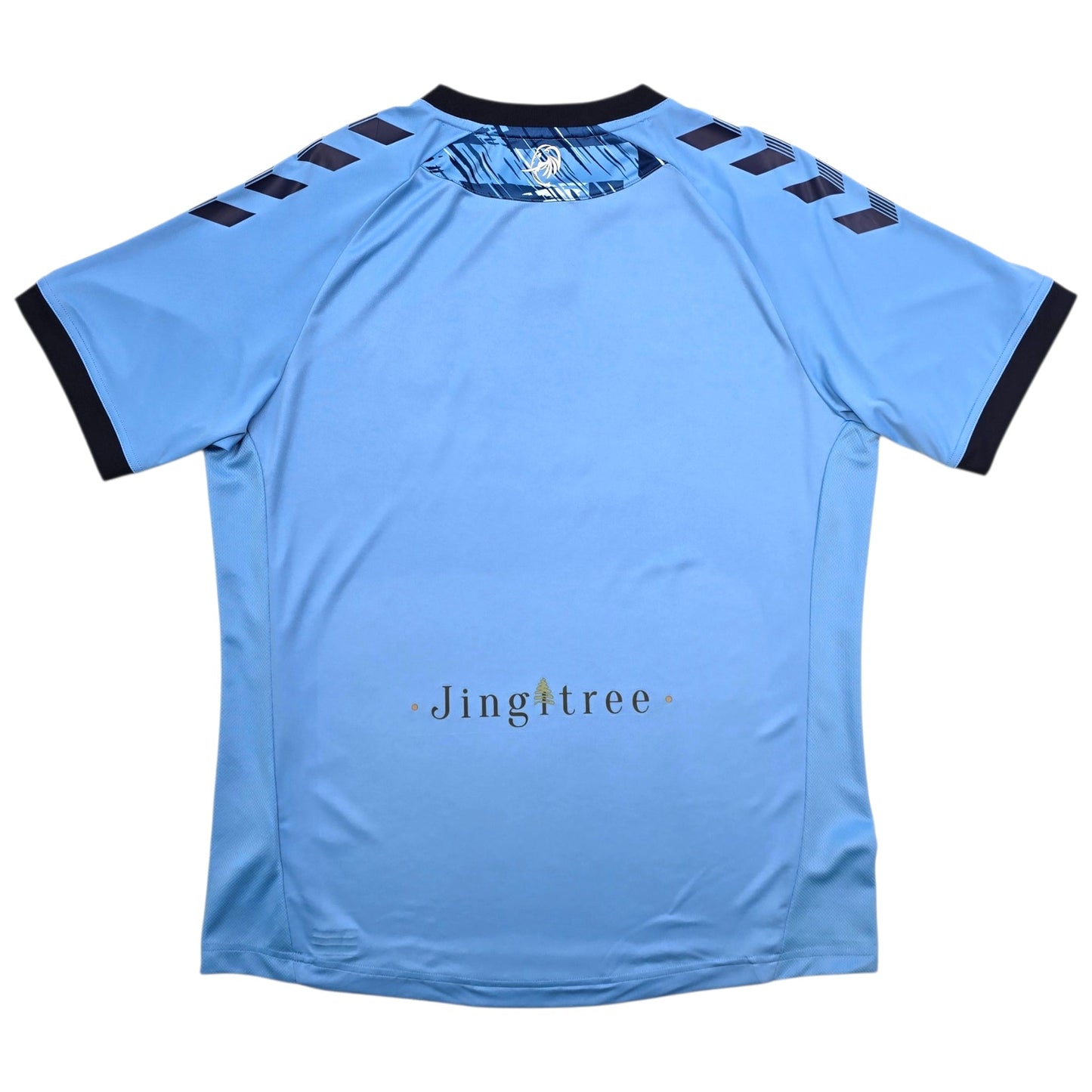 2020/21 Coventry City Home Football Shirt (M) Hummel
