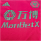 2020/21 Wolverhampton Wanderers Third Football Shirt (M) Adidas #8 Neves