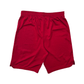 2023/24 Liverpool Home Football Shorts (Y) Nike #66 Alexander-Arnold