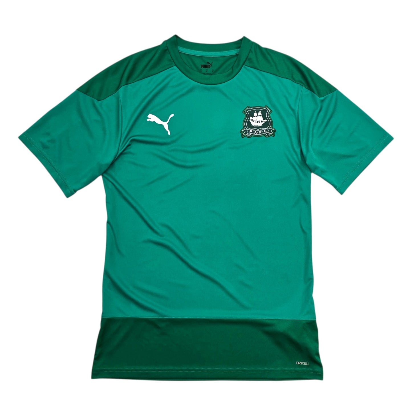 2023/24 Plymouth Argyle Training Shirt (M) Puma