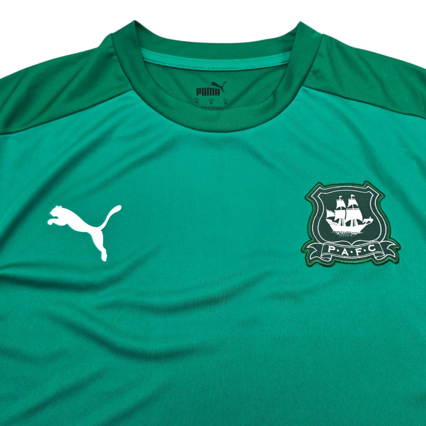 2023/24 Plymouth Argyle Training Shirt (M) Puma