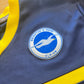 Brighton and Hove Albion 2010s Training (M)
