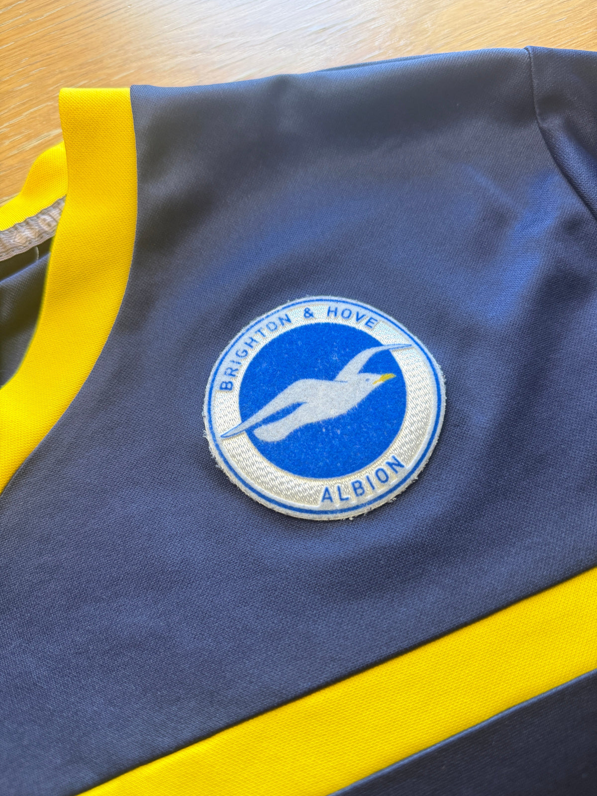 Brighton and Hove Albion 2010s Training (M)