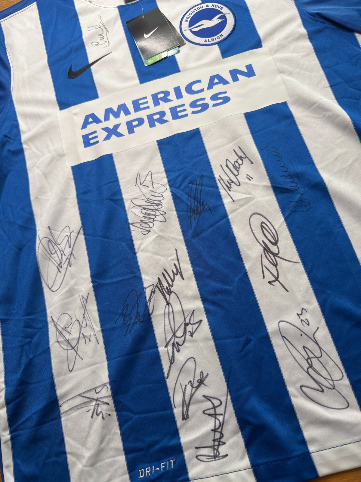 Brighton and Hove Albion 2014/16 Home Signed BNWT (L)