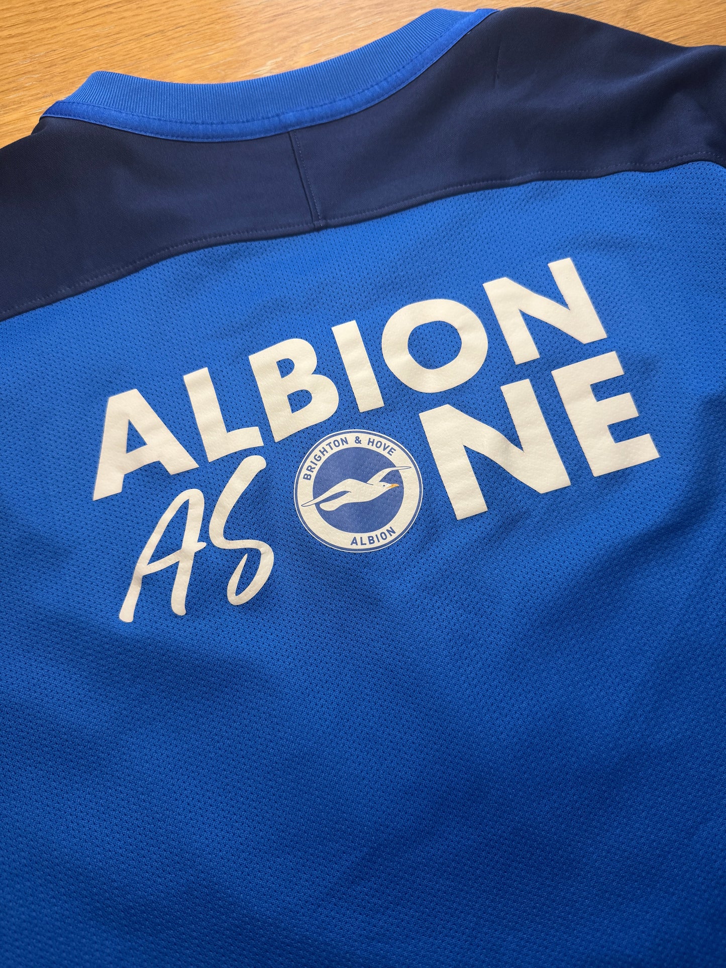 Brighton and Hove Albion 2021/22 Training (XL)