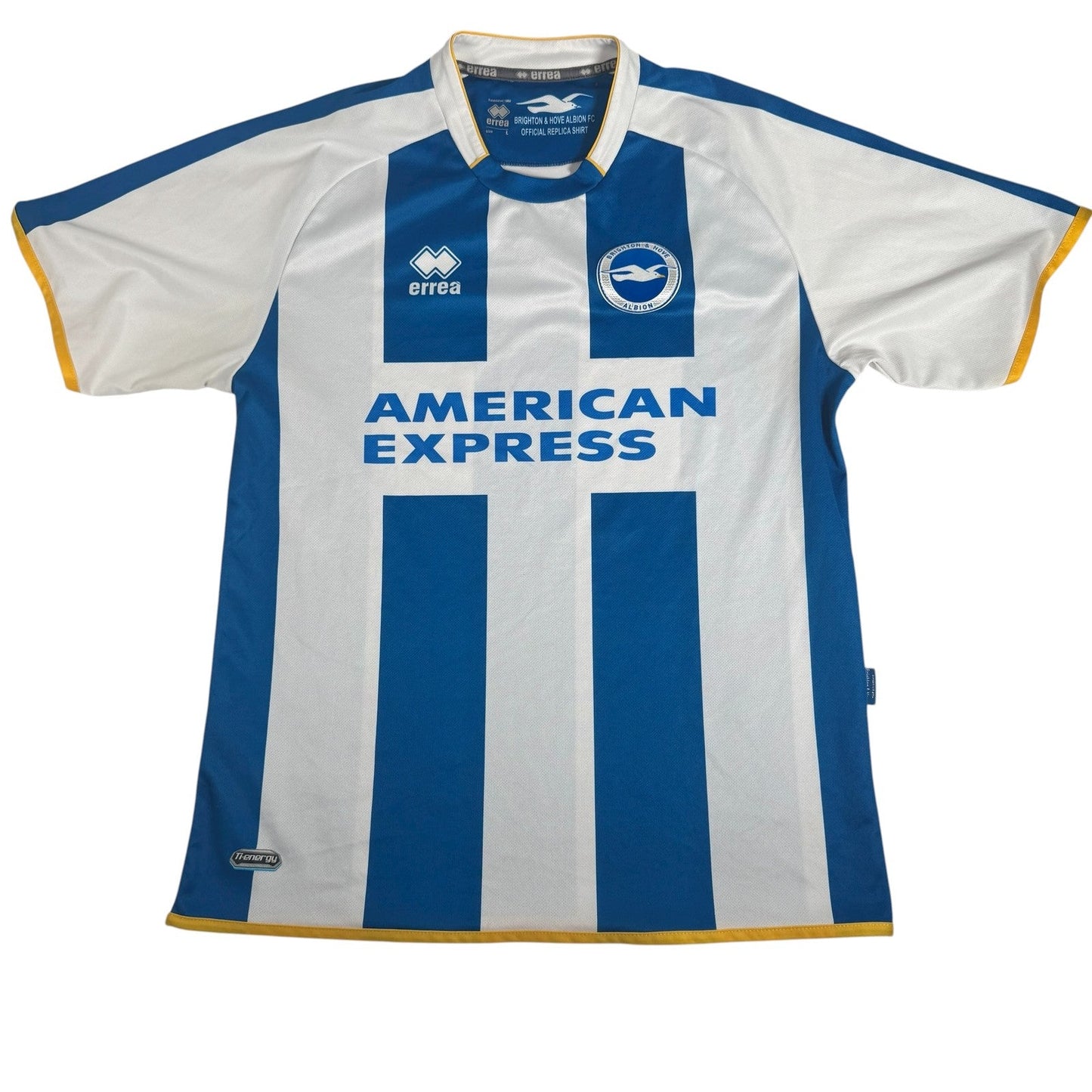 Brighton & Hove Albion 2013/2014 Home Football Shirt  Large