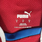 Czech Republic 2022/2023/2024 Home Football Shirt  Small