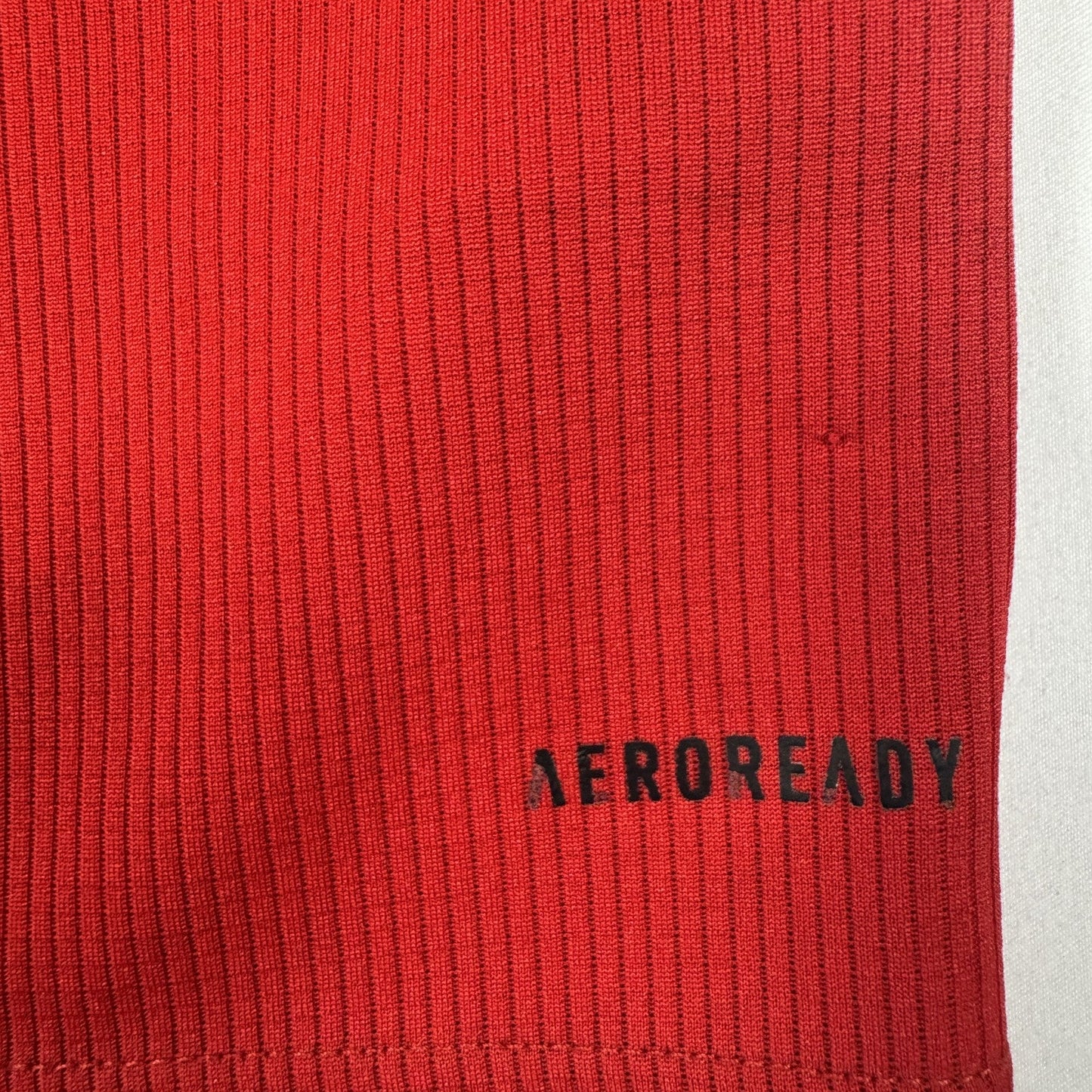 Wales 2020/2021/2022 Home Football Shirt  Small