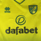 Norwich City 2019/2020 Home Football Shirt  XL
