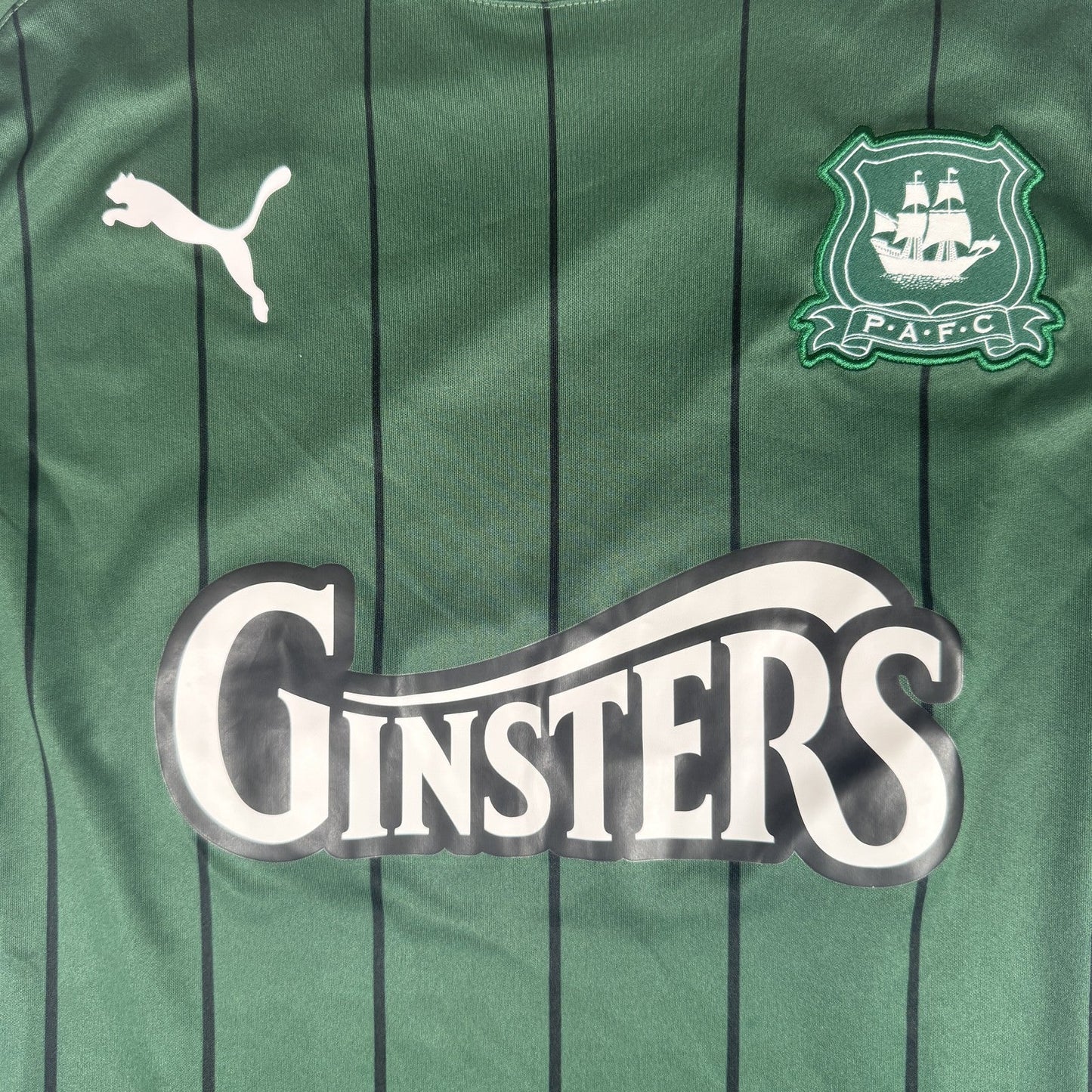 Plymouth Argyle 2021/2022 Home Football Shirt  Medium
