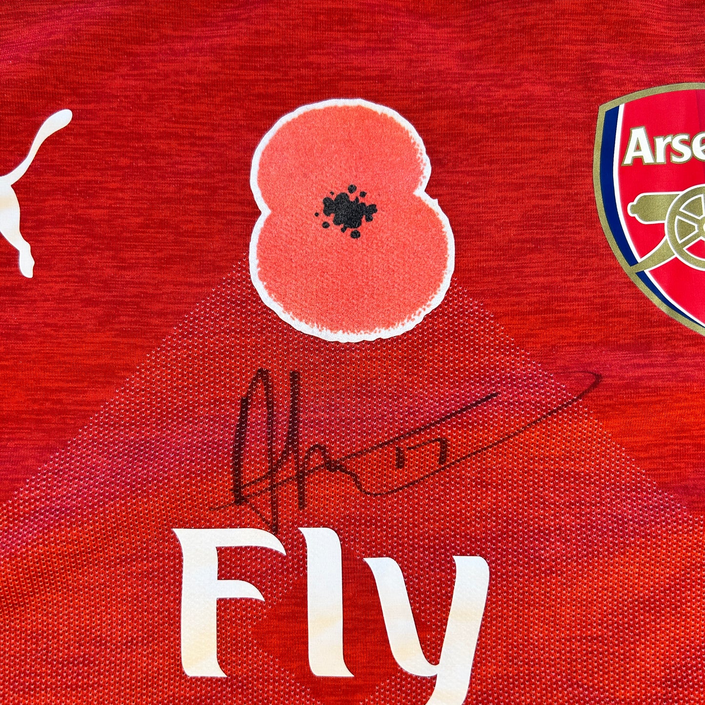 Arsenal 2018/2019 Match Issued/ Worn Poppy Home Shirt - Iwobi 17 - Signed