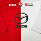 Fiorentina 2012-13 Football shirt (Small)