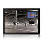 Gordon Banks Signed England Cut Iconic Frame