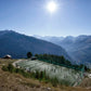 Glory Country Edition: Switzerland