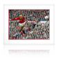 Paul Scholes Signed Manchester United Image Deluxe Mount #2