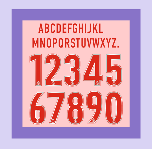 English Football League 2000-2004 Red/ Grey Football Nameset