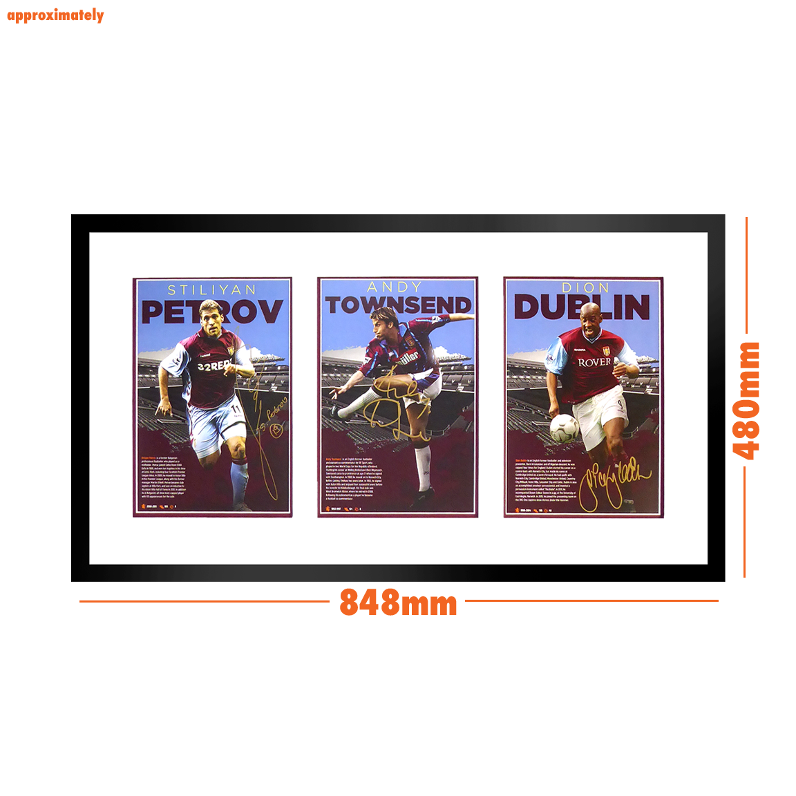 Stiliyan Petrov, Andy Townsend, Dion Dublin Signed Aston Villa Deluxe Mount Frame