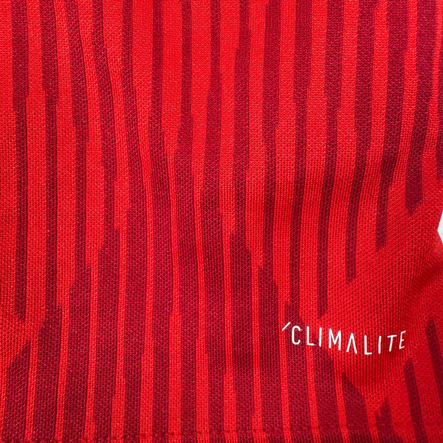 Bayern Munich 2018/2019 Home Football Shirt Large