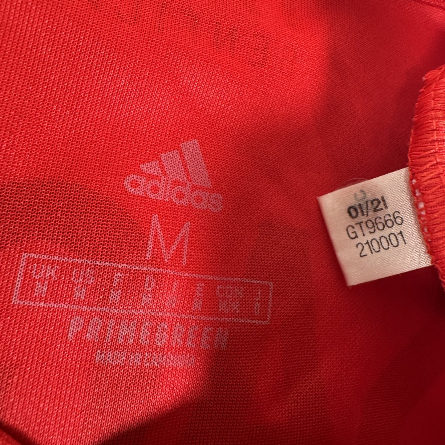 Benfica 2021/2022 Home Shirt Medium
