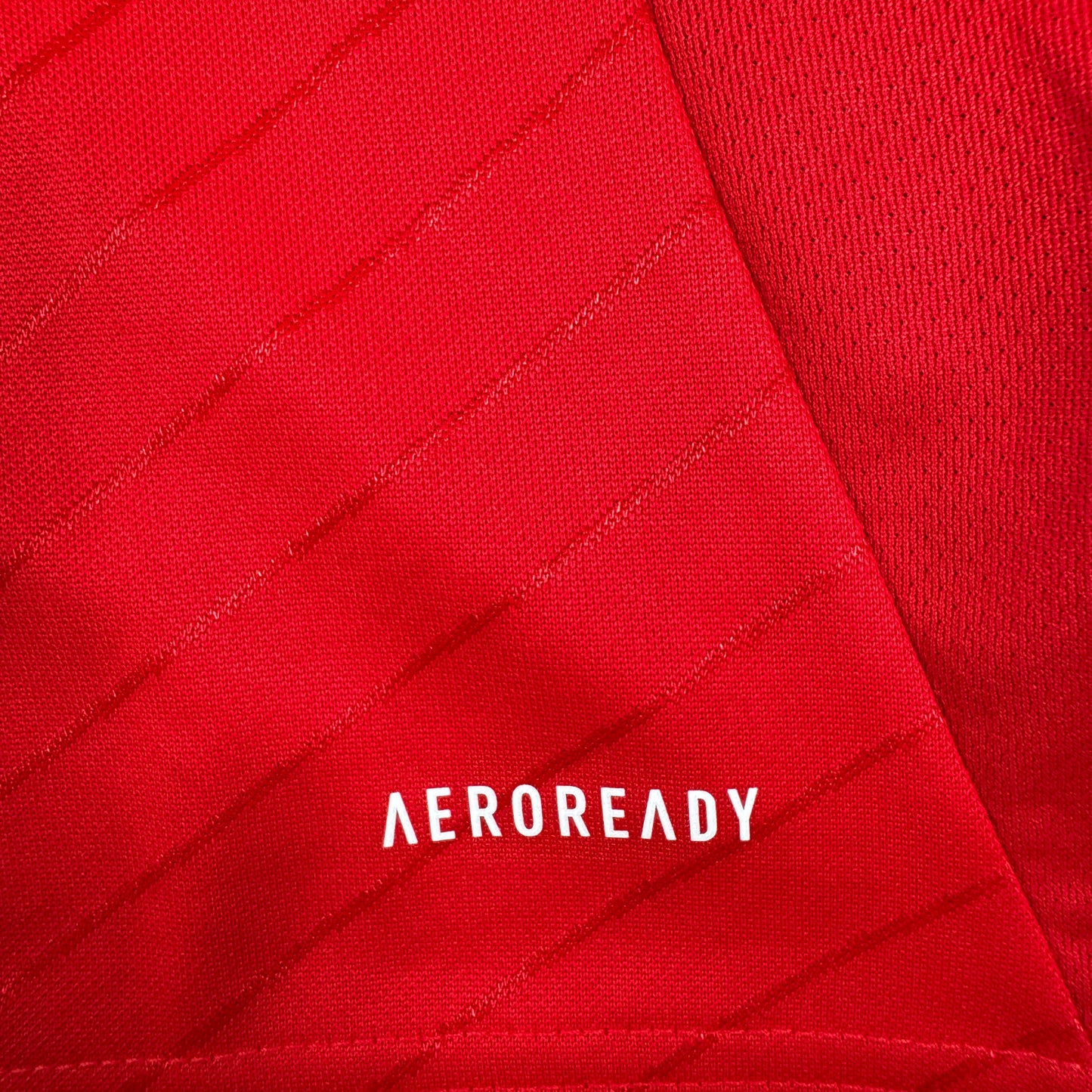 Benfica 2024/2025 Home Shirt Large BNWT