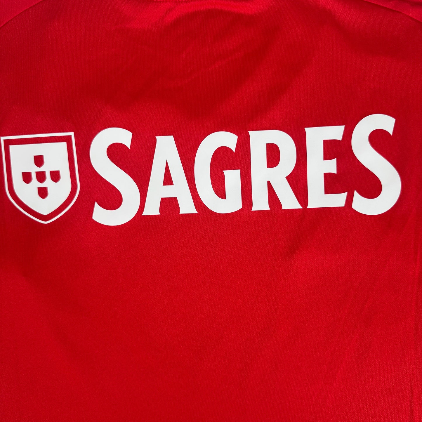 Benfica 2024/2025 Home Shirt Large BNWT
