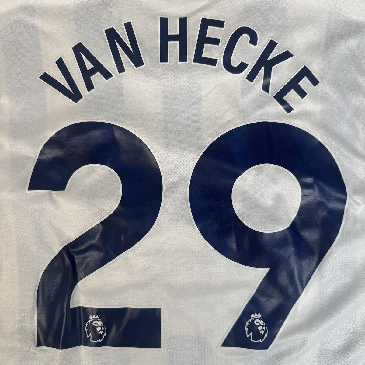 Van Hecke 29 Brighton & Hove Albion 2024/2025 Home Football Shirt Large