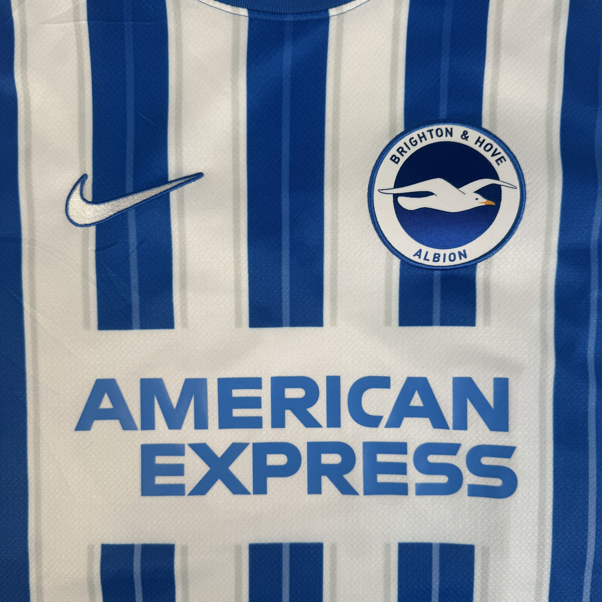 Van Hecke 29 Brighton & Hove Albion 2024/2025 Home Football Shirt Large