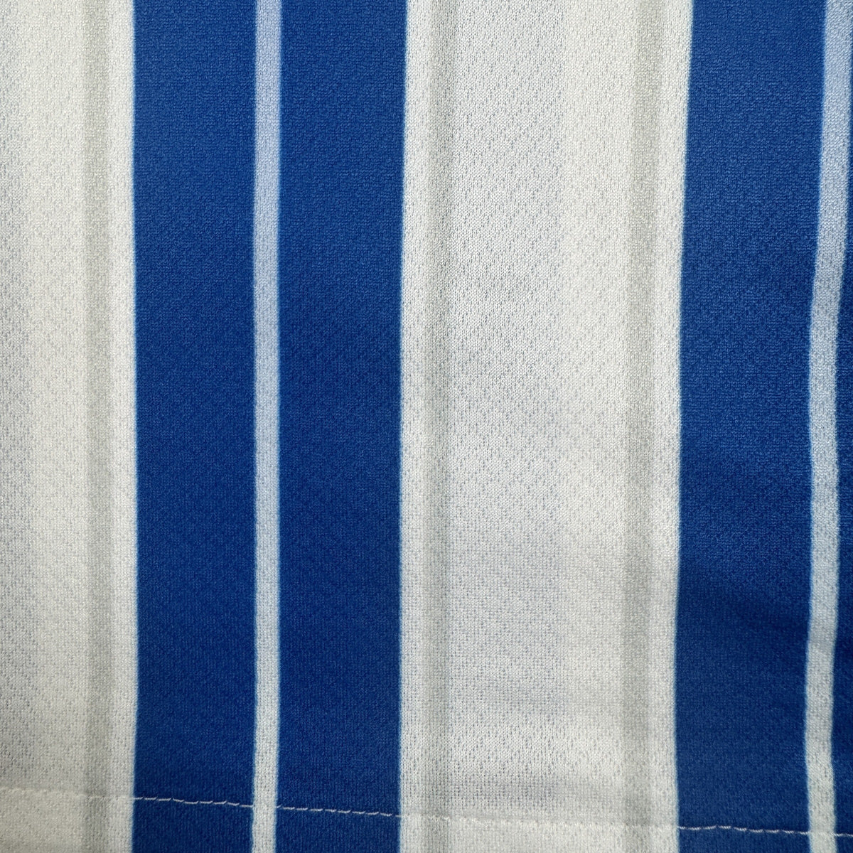 Van Hecke 29 Brighton & Hove Albion 2024/2025 Home Football Shirt Large